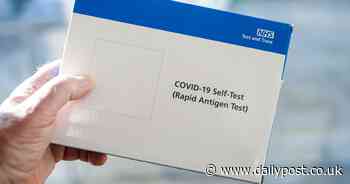 North Wales coronavirus latest as three more people die and infection rates fall across region - North Wales Live