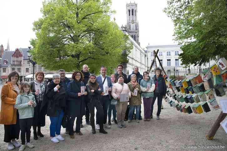 Welzijnsorganisaties plaatsen vogelhuisjes op de Burg