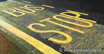 CAT Trieste, proclamato sciopero per il 28 Aprile - Trieste News