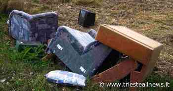 V Circoscrizione Trieste, lotta ai rifiuti ingombranti e deiezioni... - Trieste News