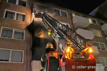 Wohnungsbrand in Celle: Feuerwehr rettet vier Personen und mehrere Tiere – Wohnung steht in Vollbrand *** aktualisiert - Celler Presse