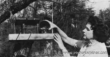 Fergus Finlay: Rachel Carson still has much to teach us — before it's too late - Irish Examiner