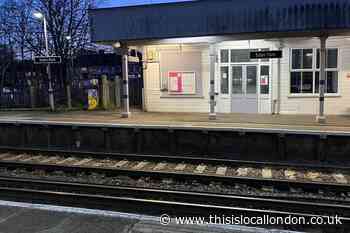 Blind man who died after being hit by Eden Park train lay untreated