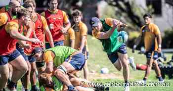 The return of Tom Banks, Allan Alaalatoa, and Nick Frost will give Dan McKellar a 'good' selection headache - The Canberra Times