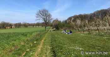 Natuurbeheerplan Wingevallei | Tielt-Winge | hln.be - Het Laatste Nieuws