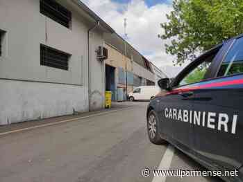 Parma, rifiuta le avance di un 33enne: lui le ruba la macchina - Luca Galvani