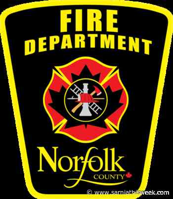 Pet pony killed in barn fire | Sarnia & Lambton County This Week - Sarnia and Lambton County This Week