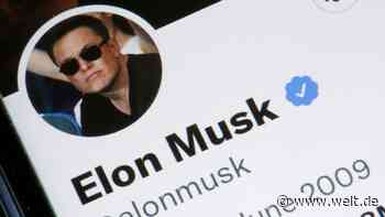 Milliardär Elon Musk steuert auf Twitter-Übernahme zu