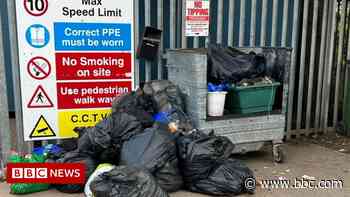 Sheep remains found dumped at Grimsby community recycling centre - BBC