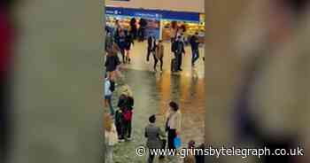 Watch rail traveller get a surprise proposal at Euston station - Grimsby Live