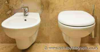 New guide explains how to use foreign toilets - Grimsby Live