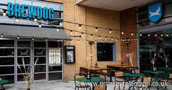 BrewDog joins forces with sustainable plant-based pioneers TiNDLE - Grimsby Live - Grimsby Live