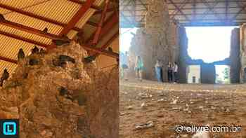 Patrimônio em perigo: infestação de pombos ameaça ruínas históricas de Vila Bela - OLivre