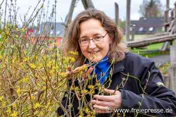 Erster Wildpflanzenpark Sachsens entsteht in Oederan - freiepresse.de