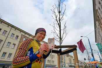 Zehn Eichen für die Chemnitzer Reitbahnstraße - freiepresse.de