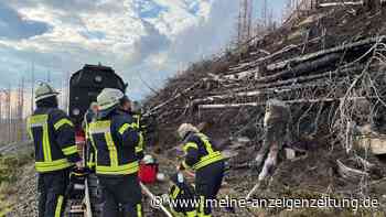 Großfeuer im Harz: Menschen mussten am Brocken ausharren