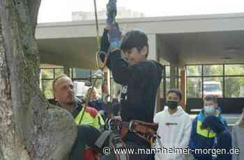 Baumpfleger gewähren an der ADS spannende Einblicke in ihre Arbeit - Lampertheim - Nachrichten und Informationen - Mannheimer Morgen