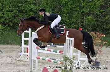 Teilnehmer und Organisatoren höchst motiviert - Mannheimer Morgen