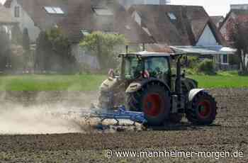 Bauern hoffen auf Regen im Mai - Lampertheim - Nachrichten und Informationen - Mannheimer Morgen