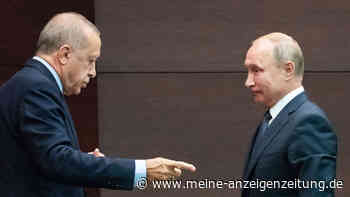 Russland stellt Erdgas-Lieferungen nach Polen ein - bald Treffen von Putin und Selenskyj in Istanbul?