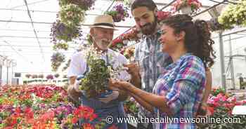 Master Gardener: This year's new perennials add beauty and can attract pollinators - The Daily News Online
