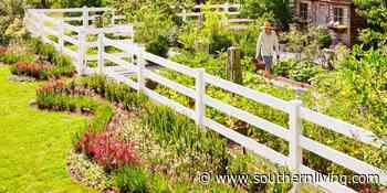 Learn How One Grandmother Inspired This Gardener to Transform His Simple Backyard Plot - Southern Living