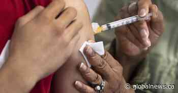 New Brunswick reports 6 more COVID-19 deaths in weekly update