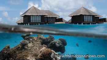Underwater coral gardener sought for three-week internship in luxury Maldives resort - The National