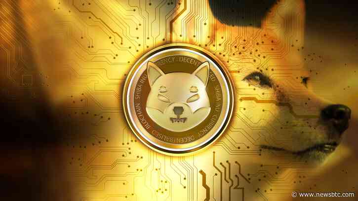 SHIB Soars 10% As Whale Buys 219 Billion Tokens