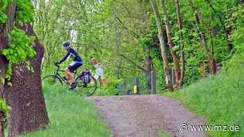 Landwirt beklagt Gefahr für Radfahrer in Vockerode - Kreis Wittenberg und Polizei sehen keinen Handlungsbedarf - Mitteldeutsche Zeitung