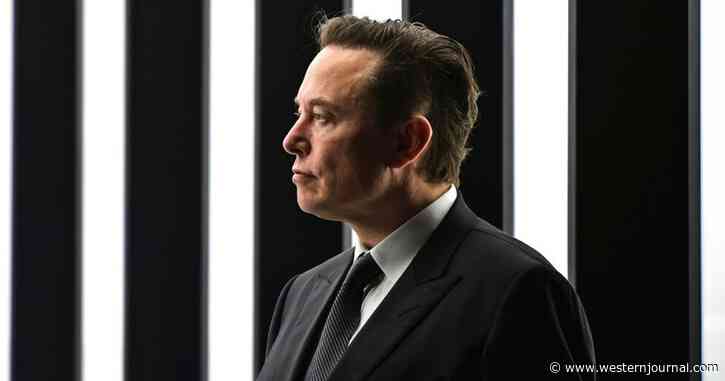 European Union Official Already Targeting Elon Musk with Threat: 'It's Not Your Rules Which Will Apply Here'