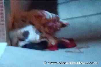 Mulher é fotografada enquanto dormia em calçada de hospital de Juazeiro (BA) e se assusta com imagem sobrenatural - Blog Edenevaldo Alves