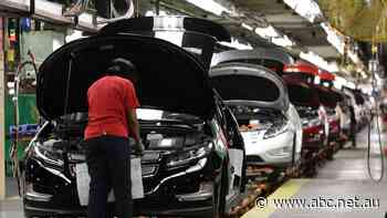 Tourists return to Queensland amid 'acute shortage' of rental cars that could last until Christmas