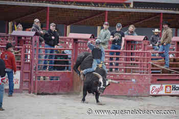 Students get back in the saddle at Quesnel roughstock school – Quesnel Cariboo Observer - Quesnel - Cariboo Observer