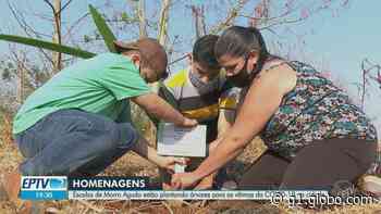 'Plantio da Saudade': escolas de Morro Agudo, SP, simbolizam vítimas da Covid com árvores - Globo