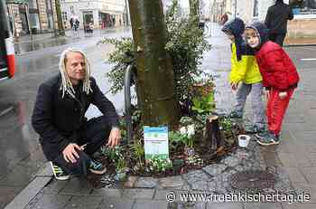 Baumpatenschaft: Wer pflegt Bäume in Bamberg? - Fränkischer Tag