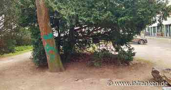 Bamberg: Rätsel um Bank an prominentem Ort in Innenstadt - Sitzgelegenheit plötzlich verschwunden - inFranken.de