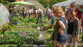Gärtnercocktails und Gemüse: Aktionstag der Gärtner in Bamberg - br.de