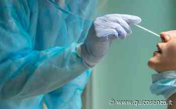 Covid, cresce l'incidenza dei casi nelle province di Cosenza e Crotone - Quotidiano online