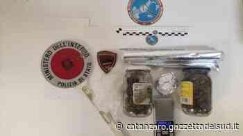 Crotone, nascondeva in casa marjuana: arrestato 53enne - Gazzetta del Sud - Edizione Catanzaro, Crotone, Vibo