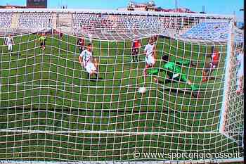 DA 1 A 10 Lucarelli all'improvviso, Ciapa no, cremonesi a Crotone, serenità e parole sante, visite mediche, Mogos, Pecchia e Verona, braccino - SportGrigiorosso