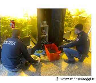 Coltivava erba in casa: arrestato dalla Polizia - Messina Oggi