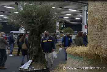 Ultimo giorno di Agrinatura a Lariofiere di Erba - Espansione TV