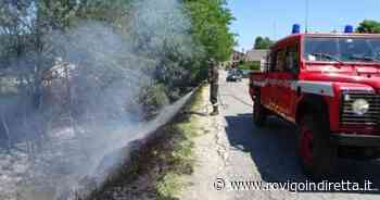 Il fuoco all'erba di casa gli scappa di mano - RovigoInDiretta.it
