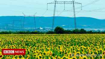 Ukraine war to cause biggest price shock in 50 years - World Bank