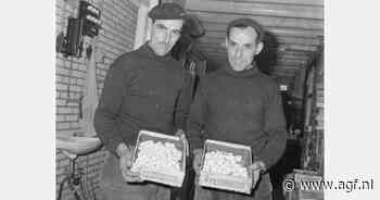 Uit de oude doos: Ex-oesterkwekers halen de eerste champignons binnen - AGF.nl