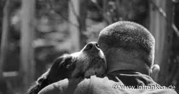 Landkreis Ansbach: Hund an Autohof ausgebüxt - Herrchen merkt es erst nach der Weiterfahrt - inFranken.de