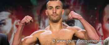 La bataille des taureaux