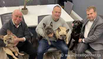 Local businesses raise $46200 in first weeks of It Takes Heart campaign - Belleville Intelligencer