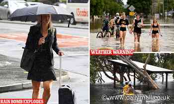 Sydney weather: Rain bomb to pound three Australian states - Daily Mail